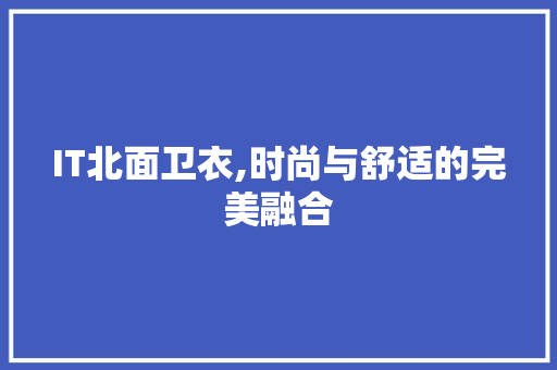 IT北面卫衣,时尚与舒适的完美融合