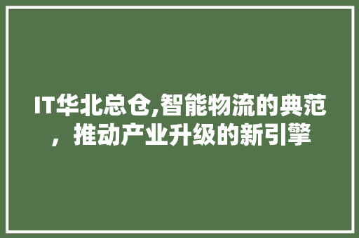 IT华北总仓,智能物流的典范，推动产业升级的新引擎