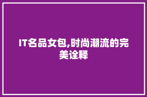 IT名品女包,时尚潮流的完美诠释