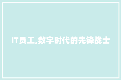IT员工,数字时代的先锋战士
