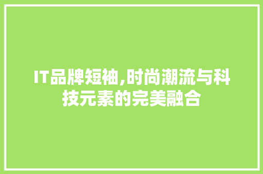 IT品牌短袖,时尚潮流与科技元素的完美融合