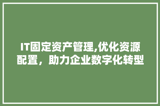 IT固定资产管理,优化资源配置，助力企业数字化转型