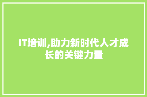IT培训,助力新时代人才成长的关键力量