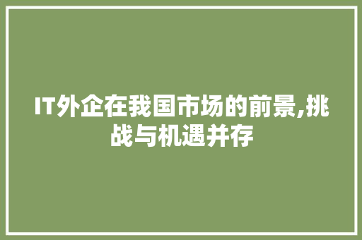 IT外企在我国市场的前景,挑战与机遇并存