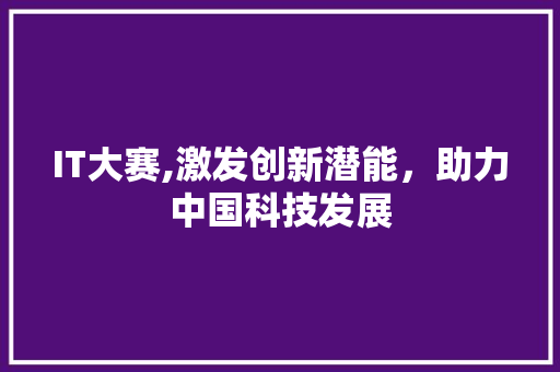 IT大赛,激发创新潜能，助力中国科技发展