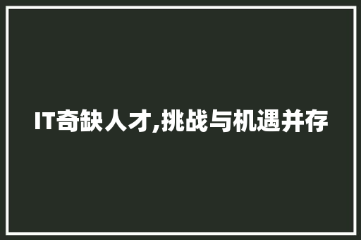 IT奇缺人才,挑战与机遇并存