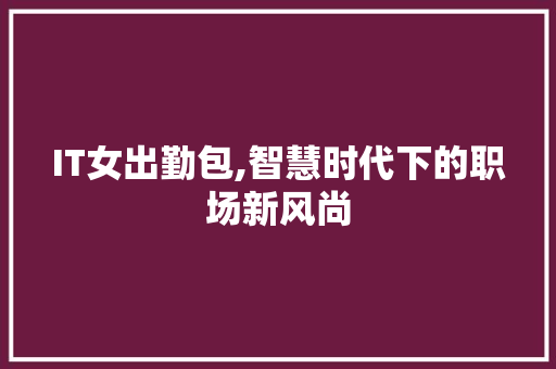 IT女出勤包,智慧时代下的职场新风尚