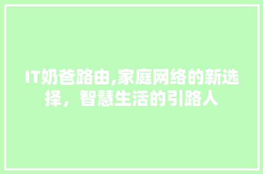 IT奶爸路由,家庭网络的新选择，智慧生活的引路人