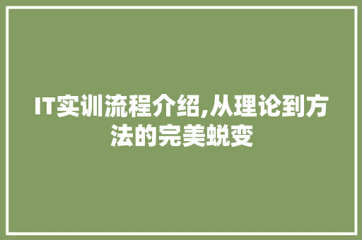 IT实训流程介绍,从理论到方法的完美蜕变
