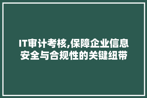 IT审计考核,保障企业信息安全与合规性的关键纽带