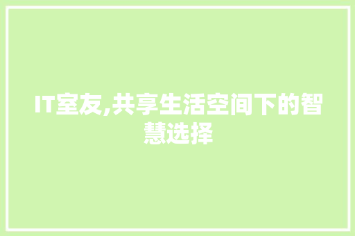 IT室友,共享生活空间下的智慧选择