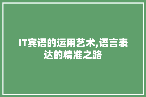 IT宾语的运用艺术,语言表达的精准之路