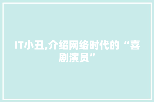IT小丑,介绍网络时代的“喜剧演员”