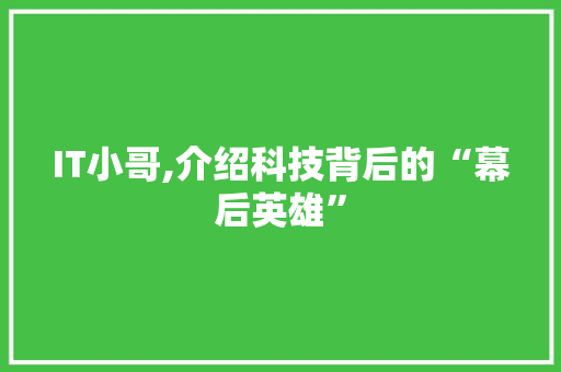 IT小哥,介绍科技背后的“幕后英雄”