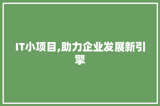 IT小项目,助力企业发展新引擎