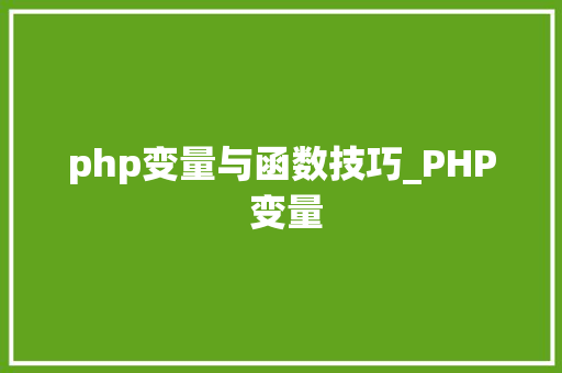php变量与函数技巧_PHP 变量