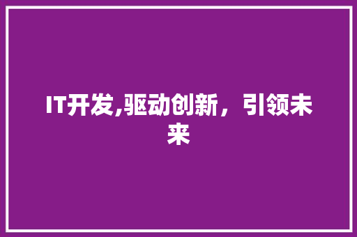 IT开发,驱动创新，引领未来