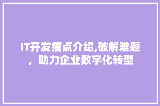 IT开发痛点介绍,破解难题，助力企业数字化转型
