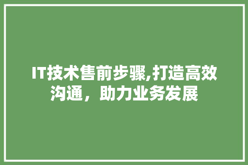 IT技术售前步骤,打造高效沟通，助力业务发展