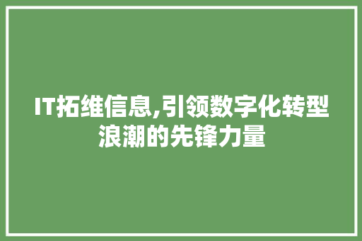IT拓维信息,引领数字化转型浪潮的先锋力量