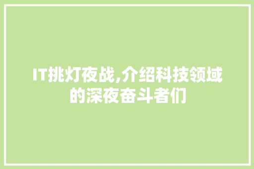 IT挑灯夜战,介绍科技领域的深夜奋斗者们