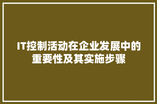 IT控制活动在企业发展中的重要性及其实施步骤