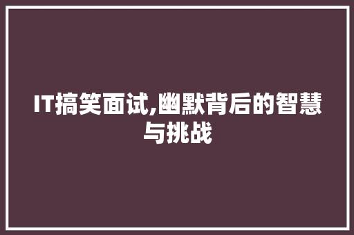 IT搞笑面试,幽默背后的智慧与挑战