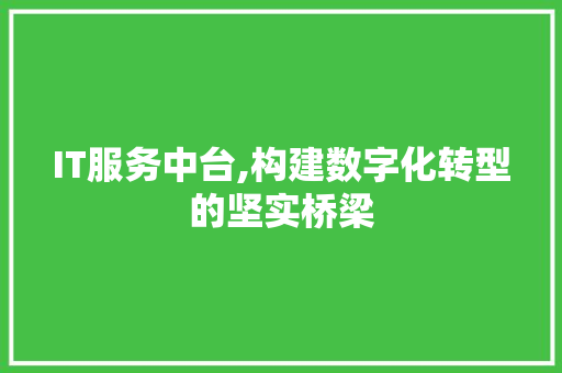 IT服务中台,构建数字化转型的坚实桥梁