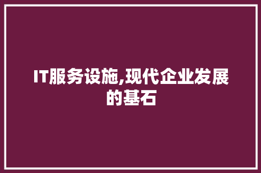 IT服务设施,现代企业发展的基石