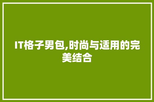 IT格子男包,时尚与适用的完美结合