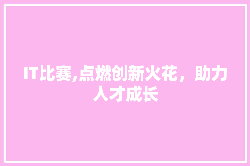 IT比赛,点燃创新火花，助力人才成长