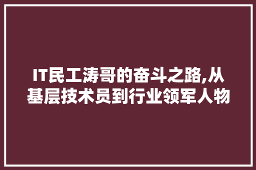 IT民工涛哥的奋斗之路,从基层技术员到行业领军人物