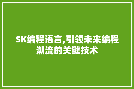 SK编程语言,引领未来编程潮流的关键技术