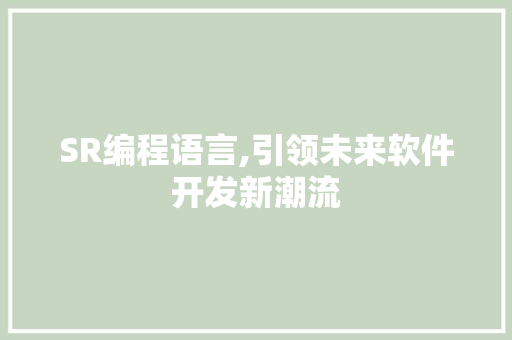 SR编程语言,引领未来软件开发新潮流