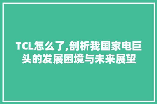 TCL怎么了,剖析我国家电巨头的发展困境与未来展望