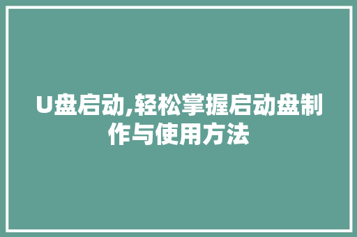 U盘启动,轻松掌握启动盘制作与使用方法