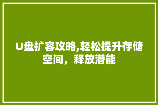 U盘扩容攻略,轻松提升存储空间，释放潜能