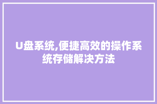 U盘系统,便捷高效的操作系统存储解决方法