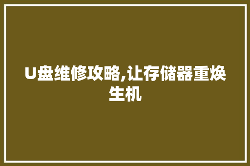 U盘维修攻略,让存储器重焕生机