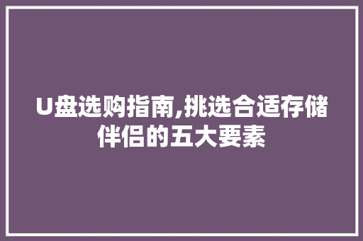 U盘选购指南,挑选合适存储伴侣的五大要素