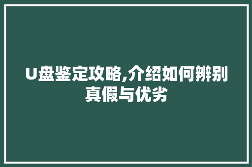 U盘鉴定攻略,介绍如何辨别真假与优劣
