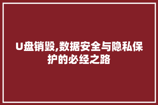 U盘销毁,数据安全与隐私保护的必经之路