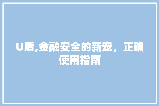 U盾,金融安全的新宠，正确使用指南