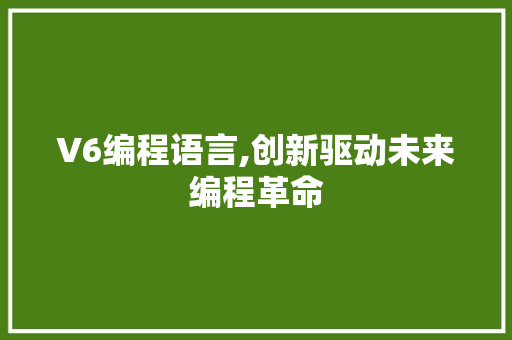 V6编程语言,创新驱动未来编程革命