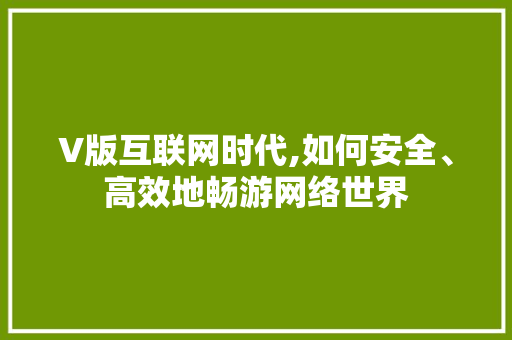 V版互联网时代,如何安全、高效地畅游网络世界