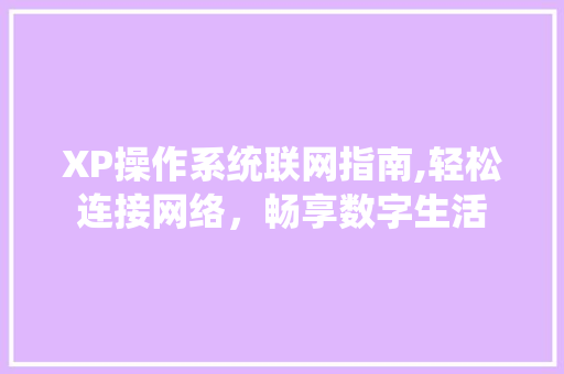 XP操作系统联网指南,轻松连接网络，畅享数字生活