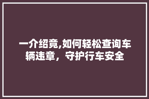 一介绍竟,如何轻松查询车辆违章，守护行车安全