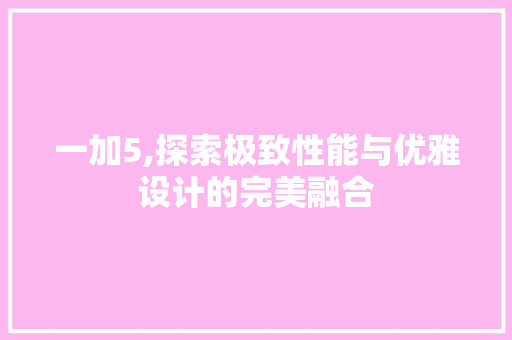 一加5,探索极致性能与优雅设计的完美融合
