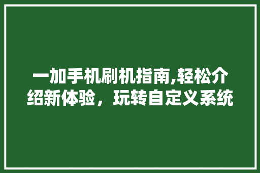 一加手机刷机指南,轻松介绍新体验，玩转自定义系统