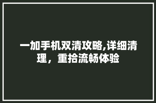 一加手机双清攻略,详细清理，重拾流畅体验